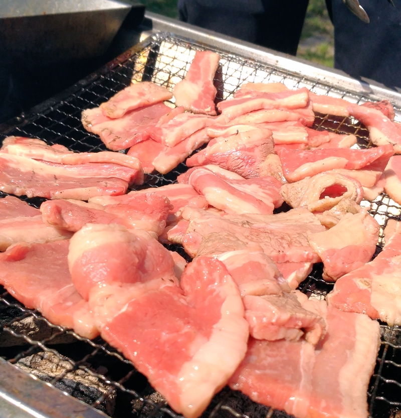 Mice BBQ